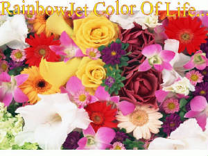 flower120gm.jpg